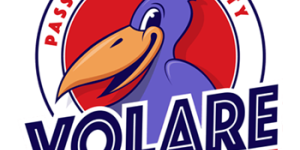 Volare